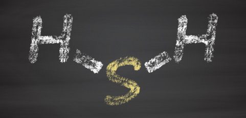 Harmful Health Effects of Hydrogen Sulfide (H2S)