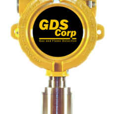 Learn About The Many Features of a H2S Monitor